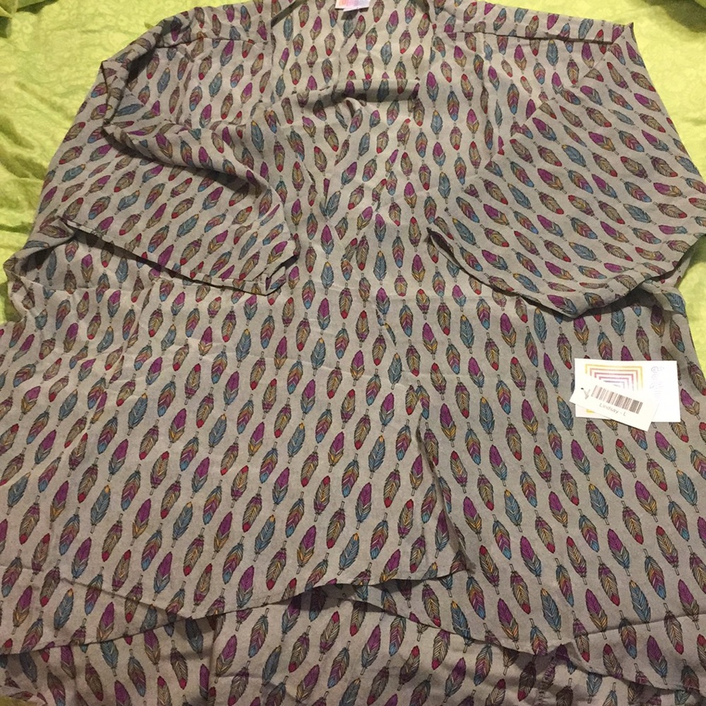 Large Lularoe Lindsay